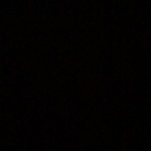 Meet your Posher, Larianna